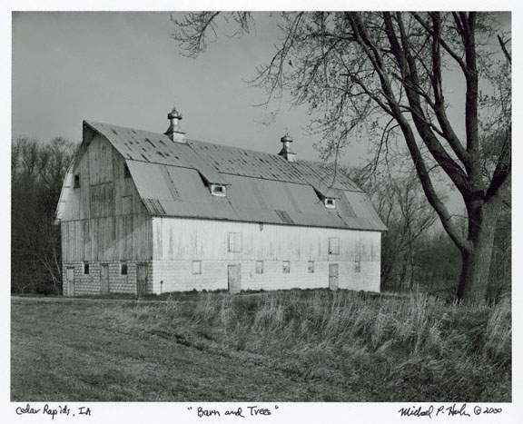 photograph: "Barn and Trees"