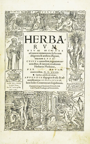 Cover of Herbarum Vivae Eicones